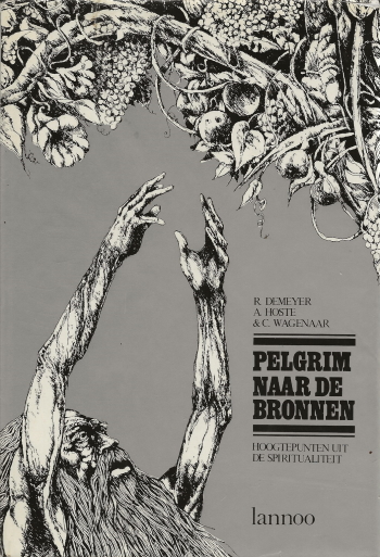 De cover van Pelgrim naar de bronnen. Hoogtepunten uit de spiritualiteit. door R.Demeyer, A.Hoste, C.Wagenaar